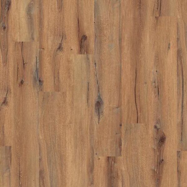 Daintree Brown